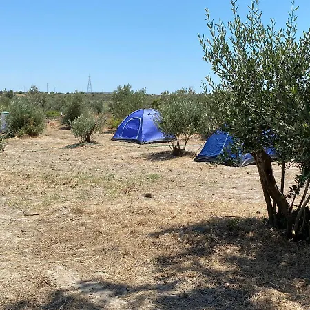 Yes_chef Camping Luxury tent